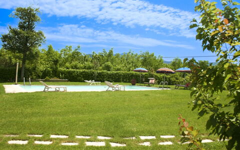 Pozzonovo: Lot Terre, Pelouse, Jardin, Prairie, Piscine, Ombre, Mobilier De Jardin, Parc, Aménagement Paysager, Cour