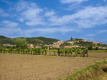 Pozzonovo