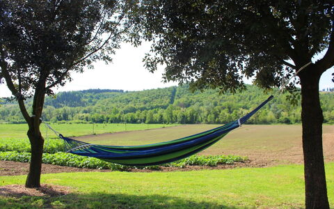 Villa Alabastro: Plante, Ciel, Arbre, Ombre, Lot Terre, Paysage Naturel, Montagnes, Bois, Herbe