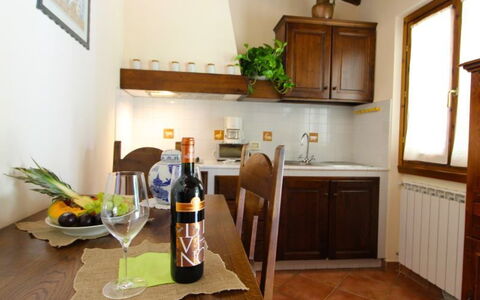 Logement:&nbsp;Il Tulipano