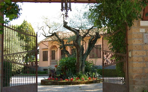 Casa Grion: Plante, Bâtiment, Propriété, Fenêtre, Feuille, Ciel, Ombre, Maison, Arbre, Clôture