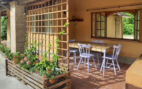 Pagliazzone: Bois, Meubles, Tache De Bois, Arrière-Cour, Mobilier De Jardin, Chaise, Jardin, Pot De Fleur, Chalet, Ombre