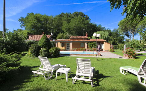 Pagliazzone: Piscine, Arbuste, Recours, Jardin, Biens, Ombre, Mobilier De Jardin, Arrière-Cour, Chalet