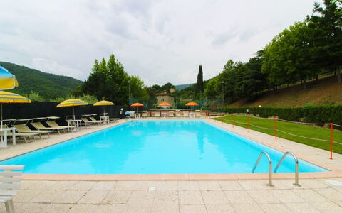Casale Aiola: L'Eau, Ciel, Plante, Nuage, Piscine, Vert, Arbre, Bleu Azur, Herbe, Loisir