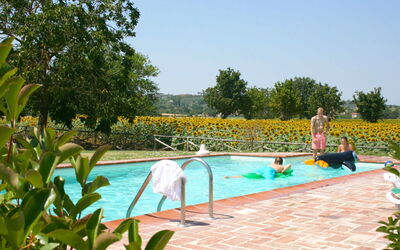 location de vacances Il Viaggiolo - Foiano della Chiana, Toscane, Italie