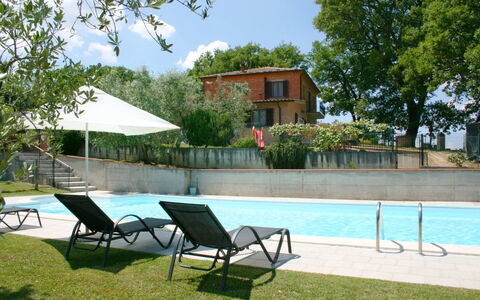 Podere San Bono: L'Eau, Bâtiment, Ciel, Plante, Propriété, Meubles, La Nature, Arbre, Piscine, Ombre