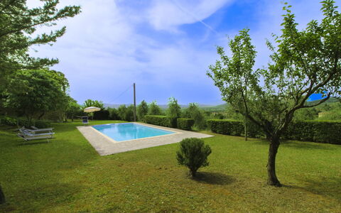 Olivo: Herbe, Maison, Domicile, Zone Rurale, Chalet, Ferme, Biens, Prairie, Pelouse, Aménagement Paysager