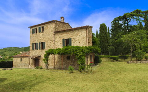 Olivo: Herbe, Maison, Domicile, Zone Rurale, Chalet, Ferme, Biens, Prairie, Pelouse, Aménagement Paysager
