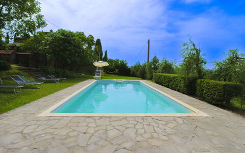 Olivo: Herbe, Maison, Domicile, Zone Rurale, Chalet, Ferme, Biens, Prairie, Pelouse, Aménagement Paysager