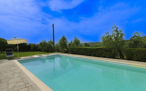 Olivo: Herbe, Maison, Domicile, Zone Rurale, Chalet, Ferme, Biens, Prairie, Pelouse, Aménagement Paysager