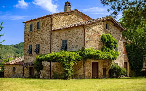 Olivo: Herbe, Maison, Domicile, Zone Rurale, Chalet, Ferme, Biens, Prairie, Pelouse, Aménagement Paysager