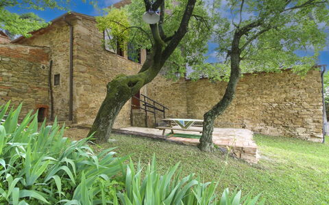 Olivo: Herbe, Maison, Domicile, Zone Rurale, Chalet, Ferme, Biens, Prairie, Pelouse, Aménagement Paysager
