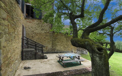 Olivo: Herbe, Maison, Domicile, Zone Rurale, Chalet, Ferme, Biens, Prairie, Pelouse, Aménagement Paysager