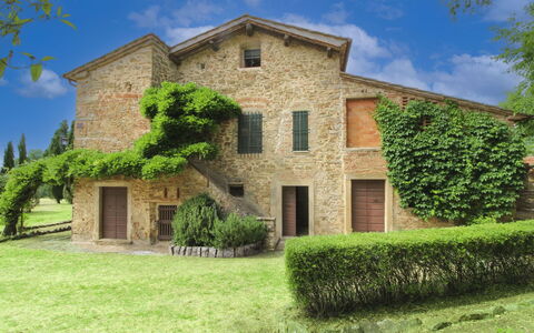 Olivo: Herbe, Maison, Domicile, Zone Rurale, Chalet, Ferme, Biens, Prairie, Pelouse, Aménagement Paysager