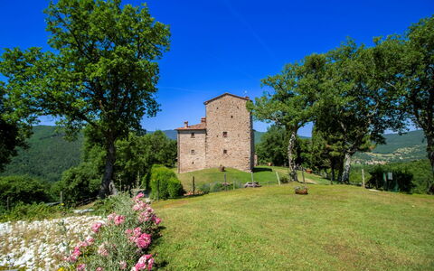 Torre di Vignale: Arbre, Paysage, Lot Terre, Zone Rurale, Parc