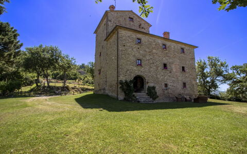 Torre di Vignale: Arbre, Paysage, Lot Terre, Zone Rurale, Parc
