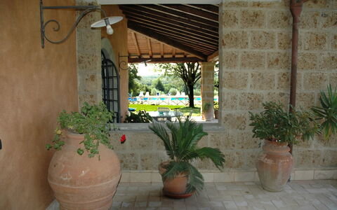 Villa Iris: Plante, Pot De Fleur, Plante D'Appartement, Ombre, Bois, Mur, Vase, Sol, Bâtiment, Immobilier