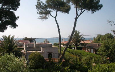 The view of the sea from the garden