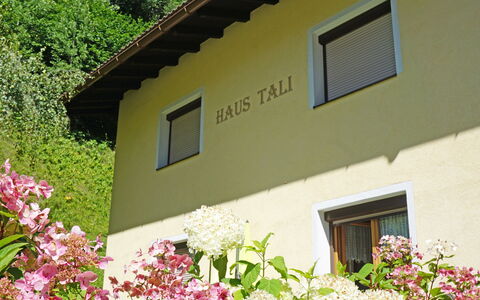 Arlberg: Fleur, Plante, Bâtiment, Fenêtre, Propriété, Botanique, Feuille, Végétation, Jaune