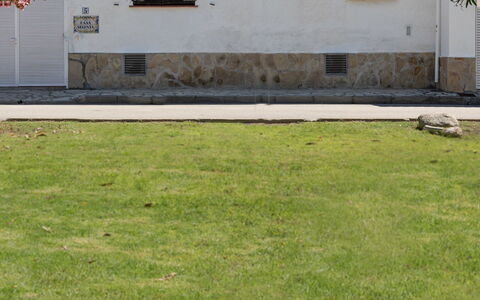 Sagenta: Pelouse, Herbe, Cour, Lot Terre, Propriété, Arrière-Cour, Famille Grass, Mur, Jardin, Plante