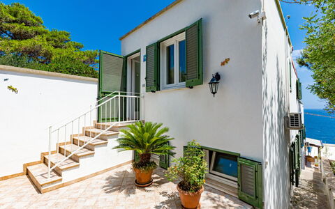 Castro 300: Plante, Bâtiment, Jour, Propriété, Ciel, Fenêtre, Bleu Azur, Ombre, Pot De Fleur, Design Urbain