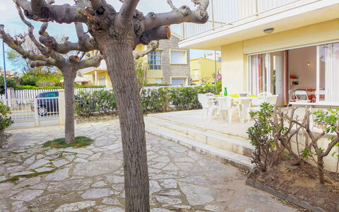 Les Hirondelles: Plante, Bâtiment, Ciel, Surface De La Route, Fenêtre, Maison, Design Urbain, Arbre, Bois, Mur