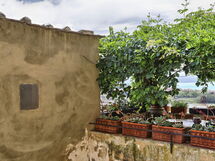 Castiglione Della Pescaia 805