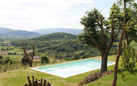 Montebello: Propriété, Piscine, Maison, Herbe, Région Sauvage, Arbre, Montagne, Vacances, Immobilier, Biens