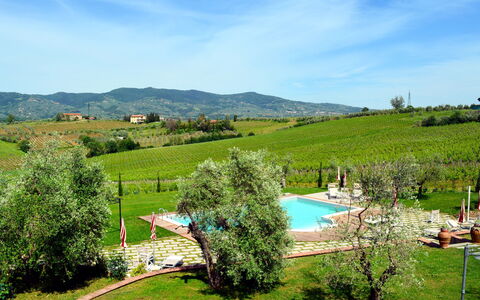 Vinci 36: Plante, Ciel, Nuage, Montagne, Paysage Naturel, Arbre, Lot Terre, Biome, Herbe, Paysage