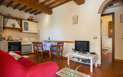 Logement:&nbsp;Michelangelo 36.8