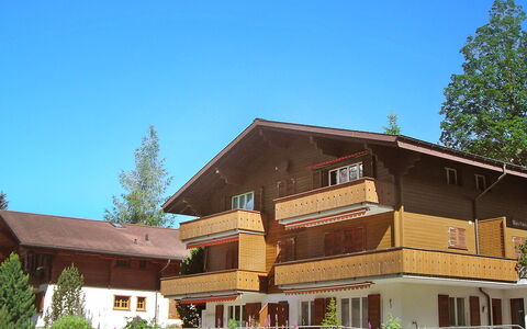 Grindelwald 253: Plante, Ciel, Bâtiment, Fenêtre, Arbre, Maison, Lot Terre, Bois, Chalet, Siding
