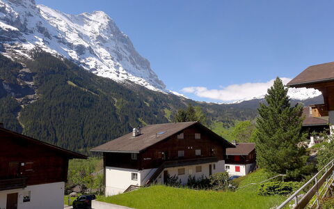 Grindelwald 253: Montagnes Relief, Montagne, Chaîne De Montagnes, Village De Montagne, Propriété, Alpes, Ciel, Maison, Toit, Domicile