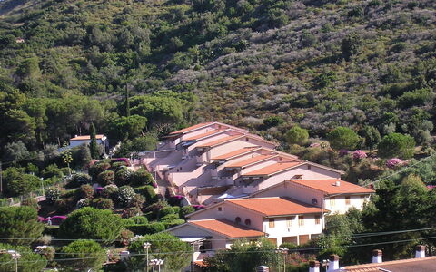 Nisporto 870: Village De Montagne, Zone Résidentielle, Village, Ville, Station De Montagne, Établissements Humains, Colline, Banlieue, Arbre, Maison