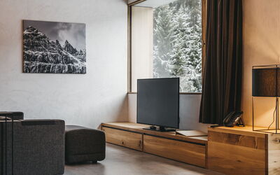 Logement:&nbsp;Cosy Alpine 600.8