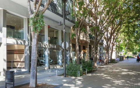 Eixample Esq Rocafort Diputacio: Plante, Bâtiment, Arbre, Ombre, Surface De La Route, Design Urbain, Quartier, Fenêtre, Trottoir, Zone Résidentielle