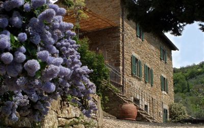 location de vacances Villa nello - Cortone, Toscane, Italie
