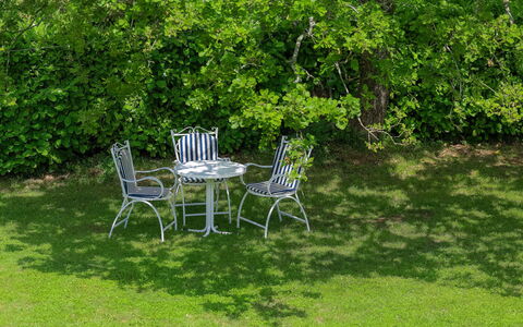 Labin 400: Plante, Meubles, Communauté Des Plantes, Table, Chaise, Environnement Naturel, Botanique, Arbre, Végétation, Paysage Naturel