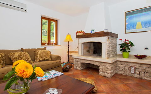 Ana: Pièce, Salon, Propriété, Foyer, Meubles, Design Intérieur, Cheminée, Bâtiment, Jaune, Sol