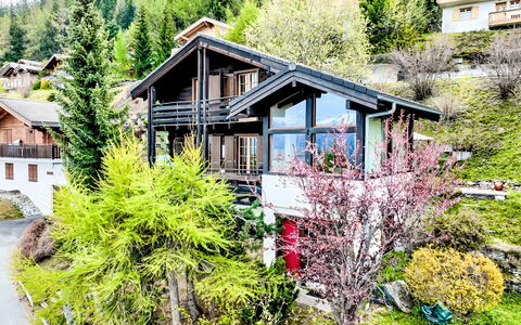 Valet de Coeur: Plante, Fenêtre, Bâtiment, Paysage Naturel, Arbre, Maison, Lot Terre, Zone Rurale, Zone Résidentielle, Toit