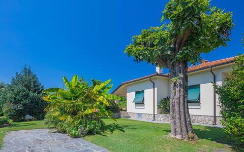 Marinella: Ciel, Plante, Bâtiment, Propriété, Arbre, Paysage Naturel, Végétation, Lot Terre, Ombre, Arecales