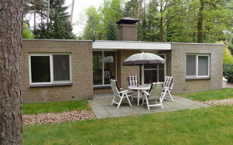 Lochem 500: Plante, Bâtiment, Fenêtre, Table, Chaise, Arbre, Ombre, Lot Terre, Tableau De Plein Air, Herbe