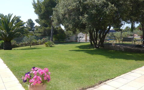 La Péguière: Pelouse, Propriété, Cour, Herbe, Jardin, Arrière-Cour, Arbre, Paysage, Plante, Aménagement Paysager