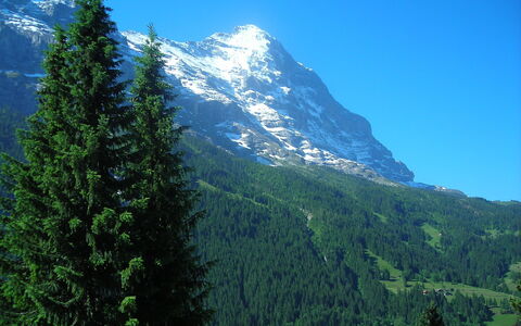 Chalet Almis 5: Montagnes Relief, Montagne, Baume Fir, Conifères Tropicale Et Subtropicale Forêts, La Nature, Arbre, Fir-Forest Epicea, Région Sauvage, Station De Montagne, Chaîne De Montagnes
