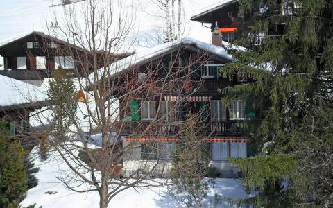 Chalet Spassvogel: Plante, Neige, Bâtiment, Fenêtre, Ciel, Branche, Pente, Arbre, Brindille, Maison