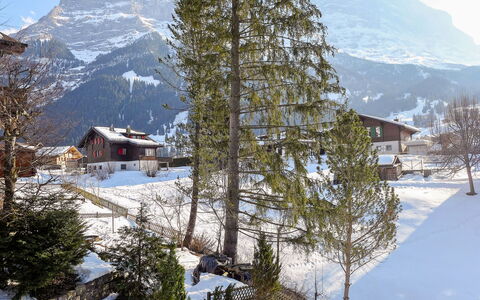Chalet Spassvogel: Montagne, Ciel, Neige, Paysage Naturel, Arbre, Mélèze, Pente, Plante, Bâtiment, Montagnes