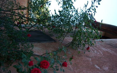 Logement:&nbsp;Sant'elena