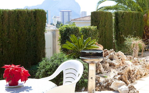 Ingy: Propriété, Mobilier De Jardin, Immobilier, Herbe, Pot De Fleur, Maison, Jardin, Meubles, Vacances, Plante