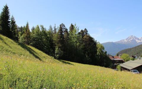 Lueg Ins Land: Ciel, Plante, Fleur, Montagne, Communauté Des Plantes, La Nature, Feuille, Paysage Naturel, Pente, Végétation