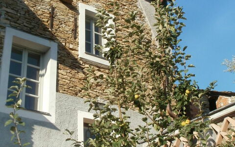 Marina di Andora 400: Ciel, Jour, Fenêtre, Plante, Propriété, Bâtiment, Architecture, Végétation, Jaune