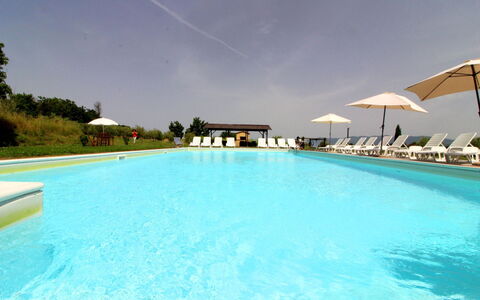 Podere Marcigliano: L'Eau, Ciel, Piscine, Plante, Bleu Azur, Parapluie, Nuage, Rectangle, Arbre, Maison